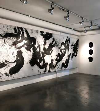 Shadow as Witness, installation view