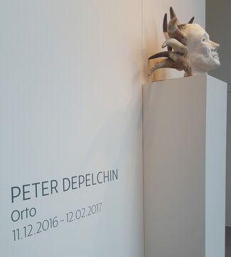Peter Depelchin 'Orto', installation view