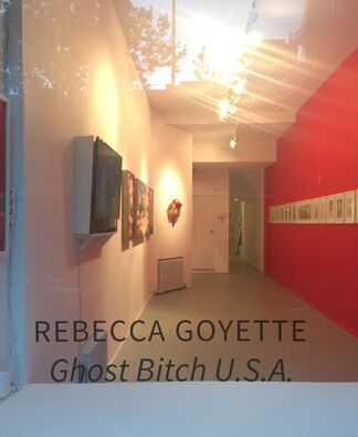Rebecca Goyette - "Ghost Bitch U.S.A.", installation view