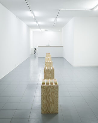 Fabrice Gygi, installation view