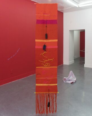 Sonia Louise Davis, Refusal to Coalesce, installation view
