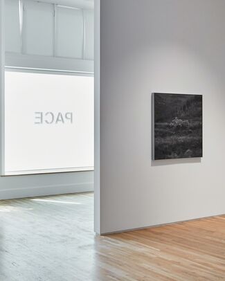 Hai Bo: The Southern Series, installation view