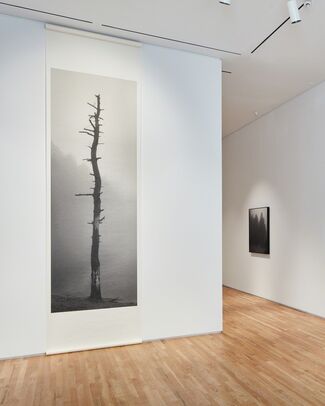 Hai Bo: The Southern Series, installation view