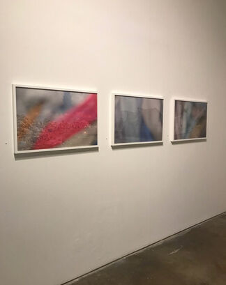 Drenched, installation view