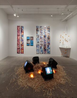 Further Evidence - Exhibit A, installation view