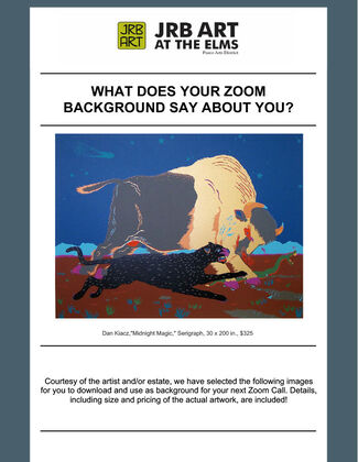 What Does Your Zoom Background Say About You?, installation view