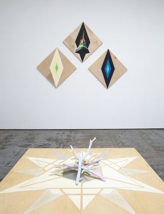 Suzanne Wright / Feminist Alchemy, installation view