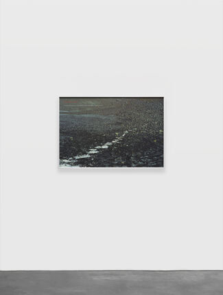 Richard Long: FROM A ROLLING STONE TO NOW, installation view