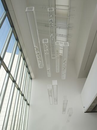 Edmund de Waal: Atmosphere, installation view