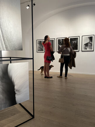 Unveiled Mirrors, installation view