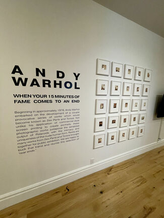 Andy Warhol: When Your 15 Minutes of Fame Comes to an End, installation view