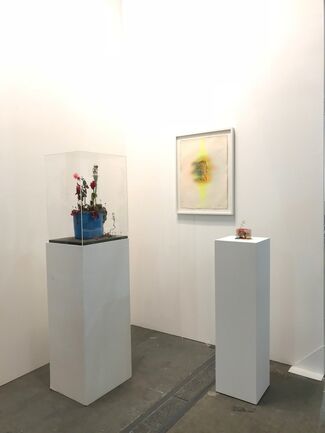 Galerie Christophe Gaillard at Artissima 2017, installation view