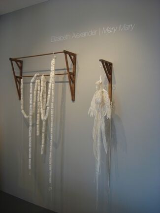 Elizabeth Alexander | Mary Mary, installation view