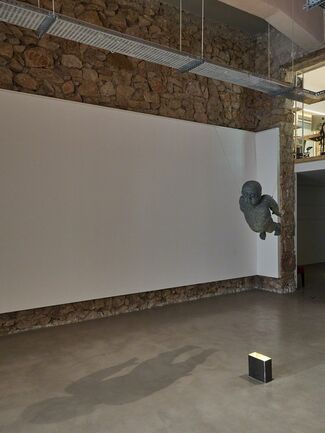 The Other, installation view