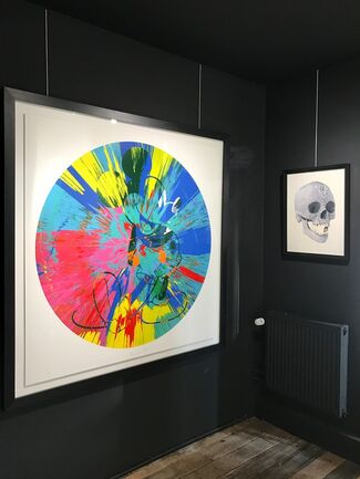 Damien Hirst - The art of, installation view