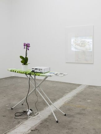 Torben Ribe – Indoor Paintings, installation view