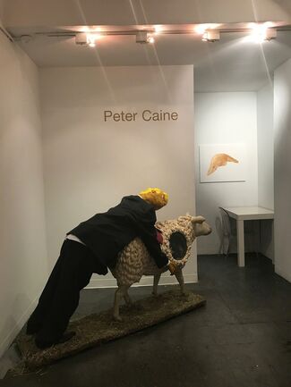The Old Man and the Sheep, installation view