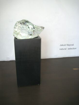 JAKUB  NEPRAŠ - Natural Selection, installation view