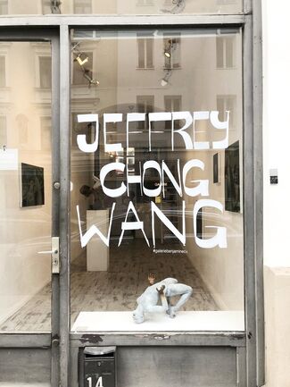 Jeffrey Chong Wang, installation view
