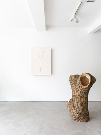 Forest and Found - Shallow Lands, installation view