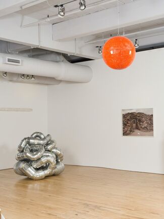 Dufala Brothers: Waste Dreams, installation view