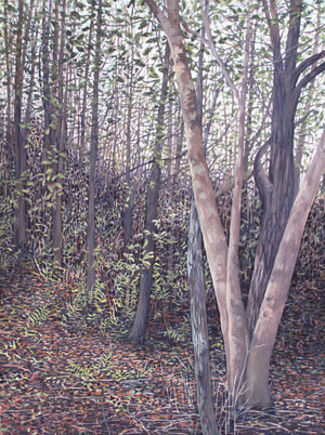 Vicki Kocher Paret - Among Trees, installation view