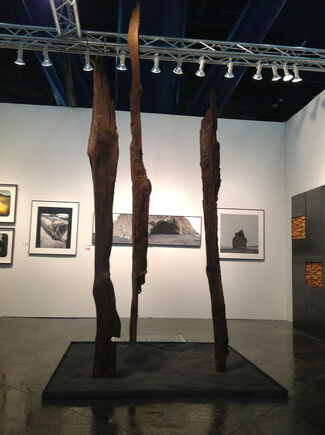 C. Grimaldis Gallery at Texas Contemporary, installation view