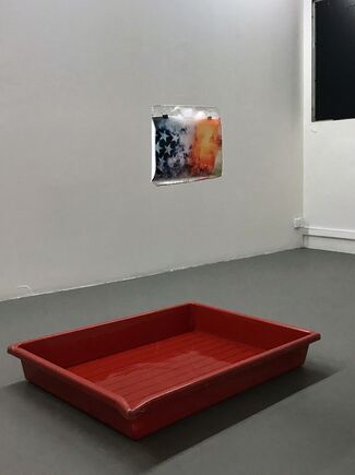 Nicolas DERNÉ - Pression "En tropiques", installation view