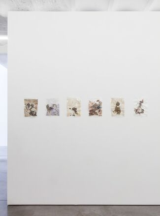 Floated On Foam [] Flew With Birds, installation view