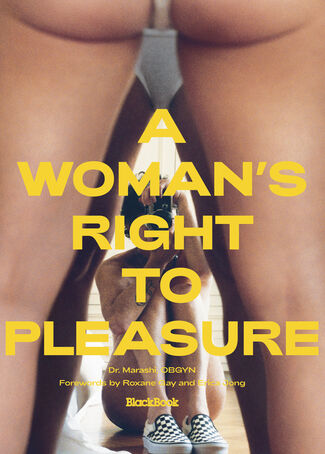 A WOMAN’S RIGHT TO PLEASURE, installation view
