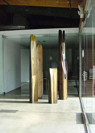 Kenzi Shiokava, installation view