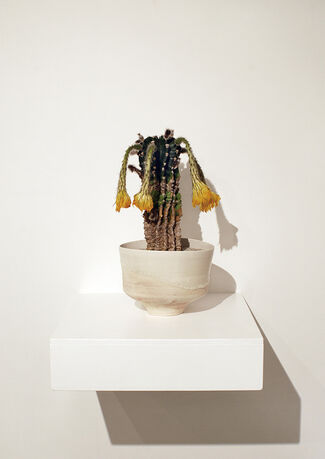 vol.59 Kouichi Uchida  Kouhei Oda  "Cactus Vessel Space", installation view