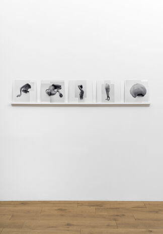 Spezifikation #24: Sam Peach, "Corpus Distortions", installation view