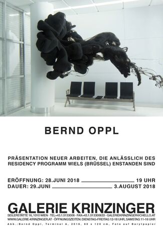 Bernd Oppl, installation view