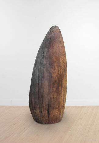 Select Works: Andy Goldsworthy and David Nash, installation view