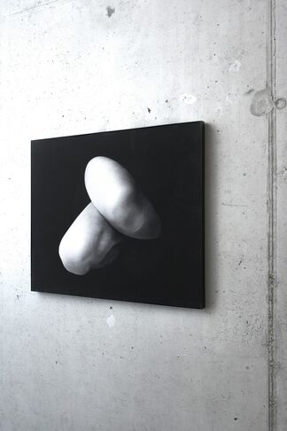Freudenthal/Verhagen - 'Absorptions', installation view