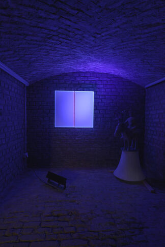 FEEL COLOR - Regine Schumann, installation view