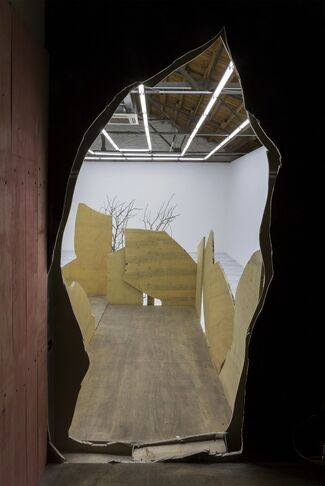 Liang Shuo: Temple of Candour, installation view