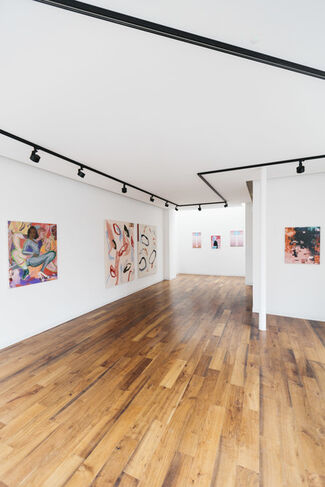 'The Politics of Pink', installation view