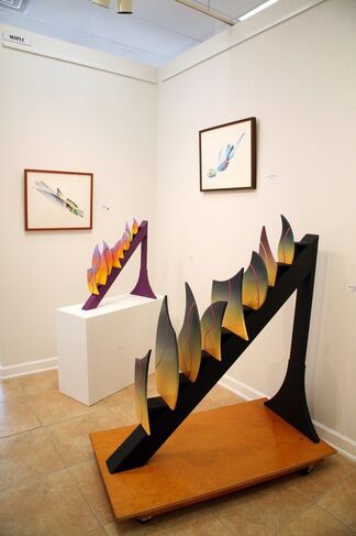 Passion for Color, installation view