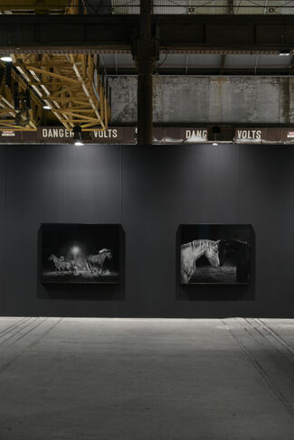 Tolarno Galleries at Sydney Contemporary 2019, installation view