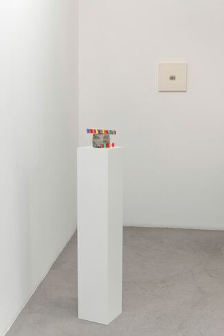 Elena del Rivero - My Friends and other Animals, installation view