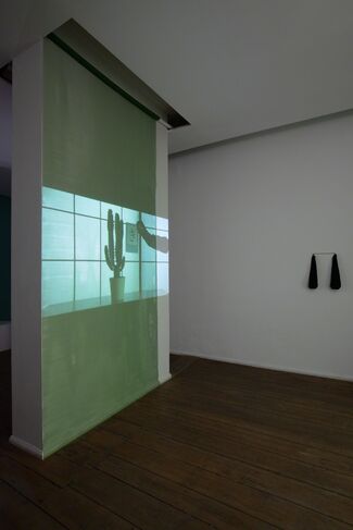 INTER-PASSION by Elise Florenty & Marcel Türkowsky, installation view