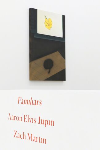 Familiars | Aaron Elvis Jupin & Zach Martin, installation view