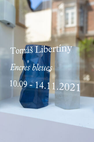 Spazio Nobile Studiolo - Tomás Libertíny, Encres bleues, installation view