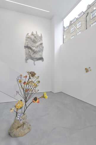 Rebecca Manson: Dry Agonies of a Baffled Lust, installation view
