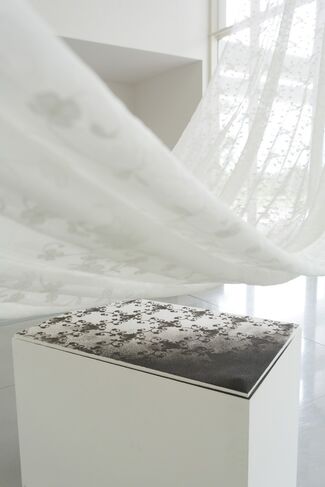Joyce Ho, installation view