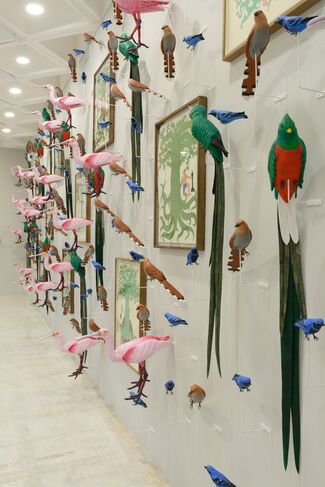 Special Project: Eduardo Sarabia. Celebrations and Other Feathered Serpent, installation view