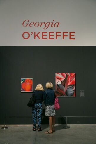 O'Keeffe, Stettheimer, Torr, Zorach: Women Modernists in New York, installation view