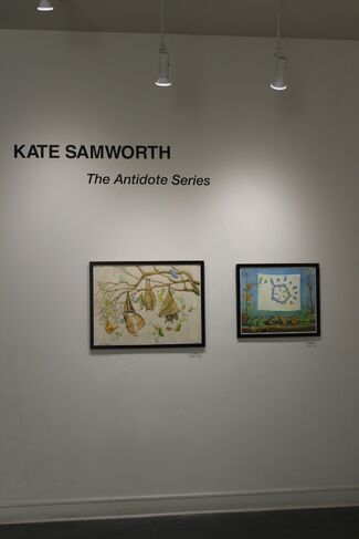 Kate Samworth's Antidotes Series, installation view